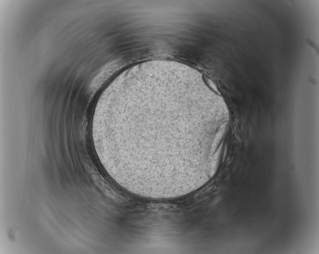 X0000102870242200809081212