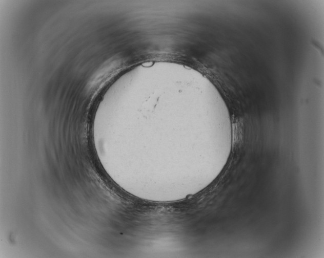 X0000102870243200809081212