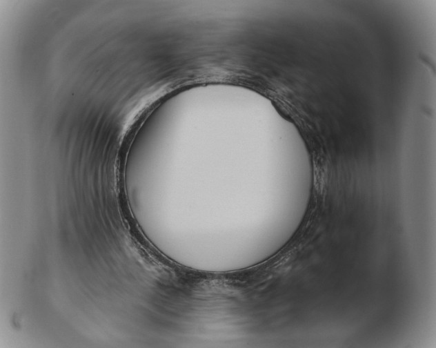 X0000102870244200809081212