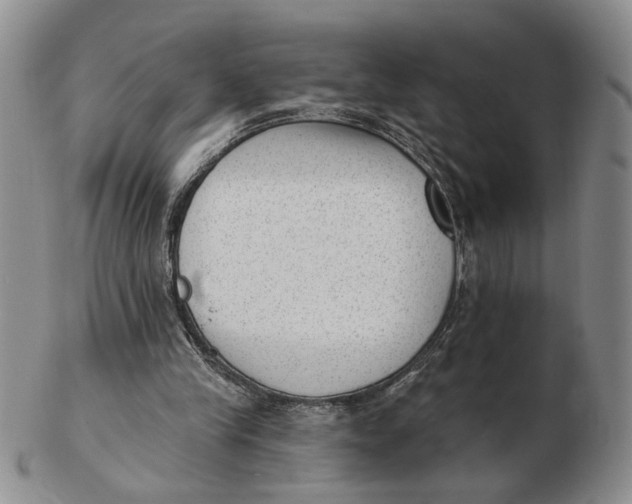 X0000102870245200809081212