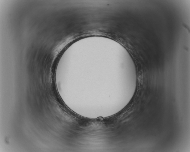 X0000102870248200809081212