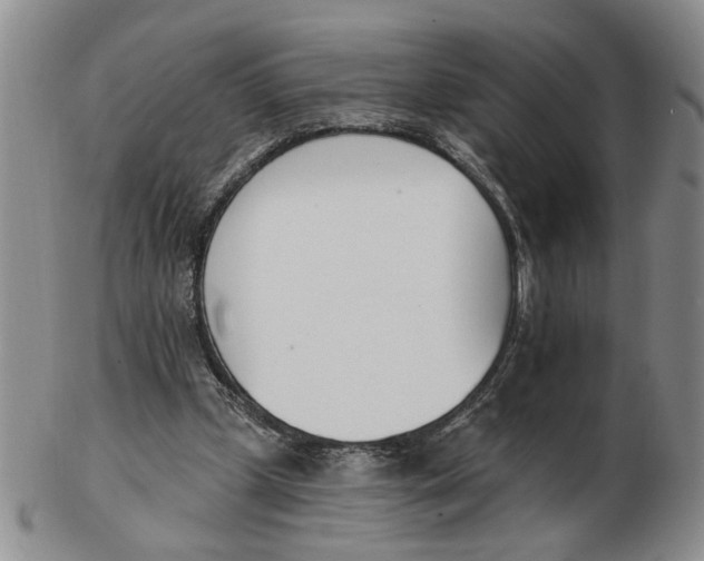 X0000102870249200809081212