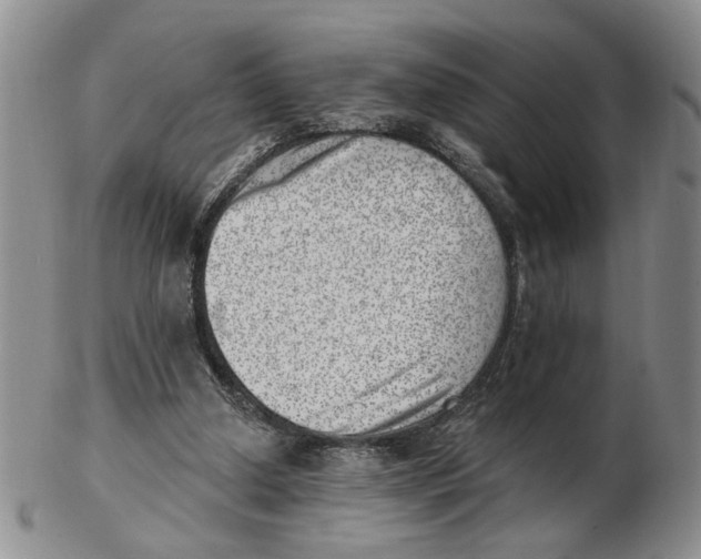 X0000102870250200809081212