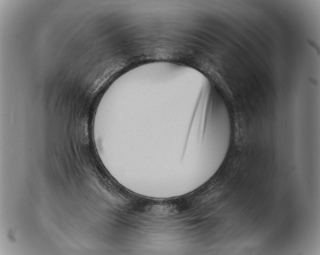 X0000102870251200809081212