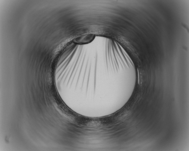 X0000102870252200809081212