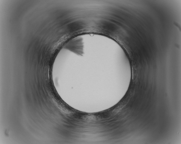 X0000102870253200809081212