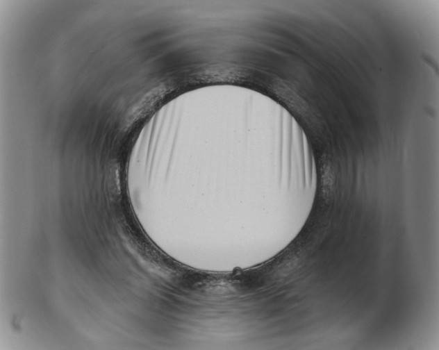 X0000102870254200809081212