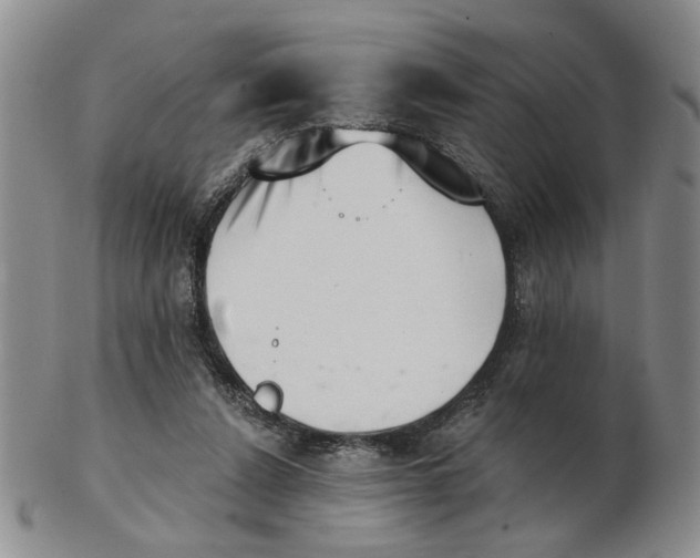 X0000102870256200809081212