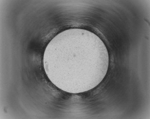 X0000102870257200809081212