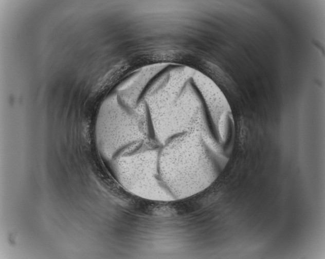 X0000102870258200809081212