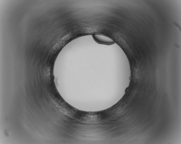 X0000102870260200809081212