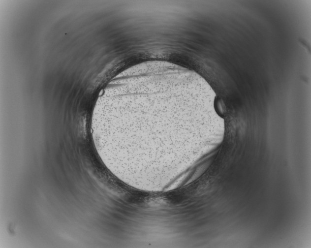 X0000102870262200809081212