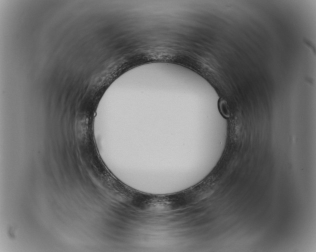 X0000102870263200809081212