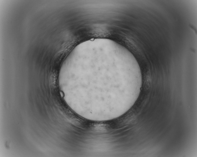 X0000102870268200809081212