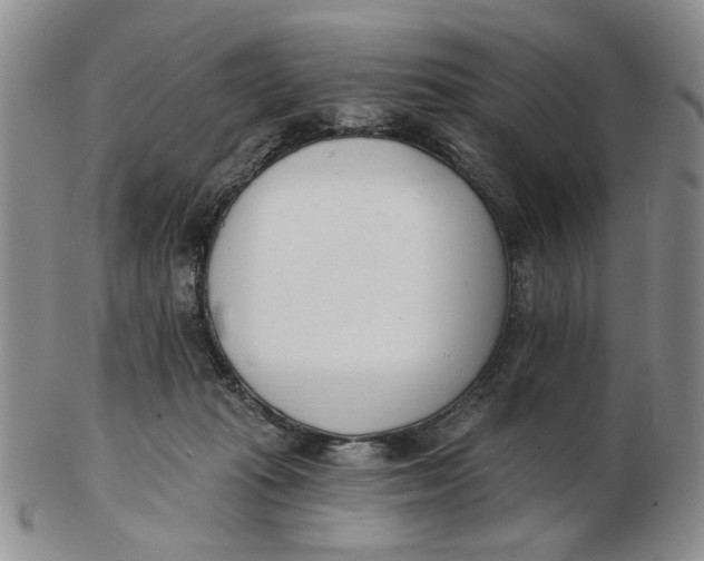 X0000102870269200809081212