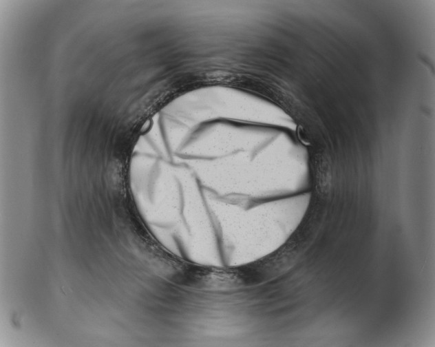 X0000102870270200809081212