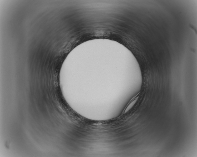 X0000102870272200809081212