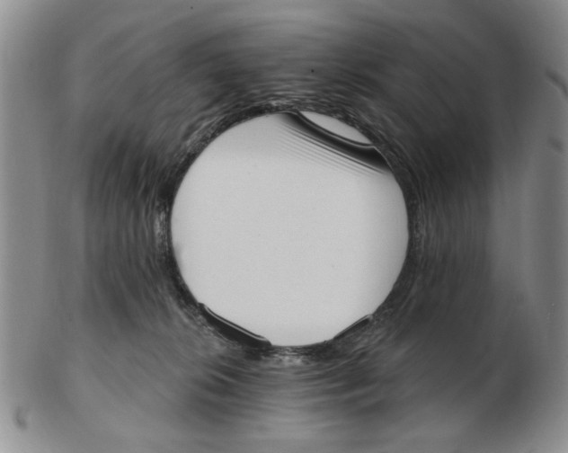 X0000102870276200809081212