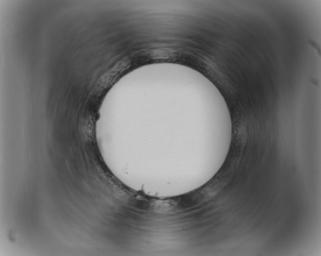 X0000102870277200809081212