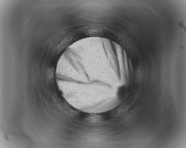 X0000102870278200809081212