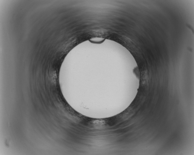 X0000102870279200809081212