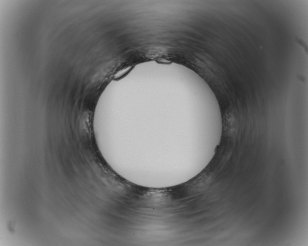 X0000102870280200809081212