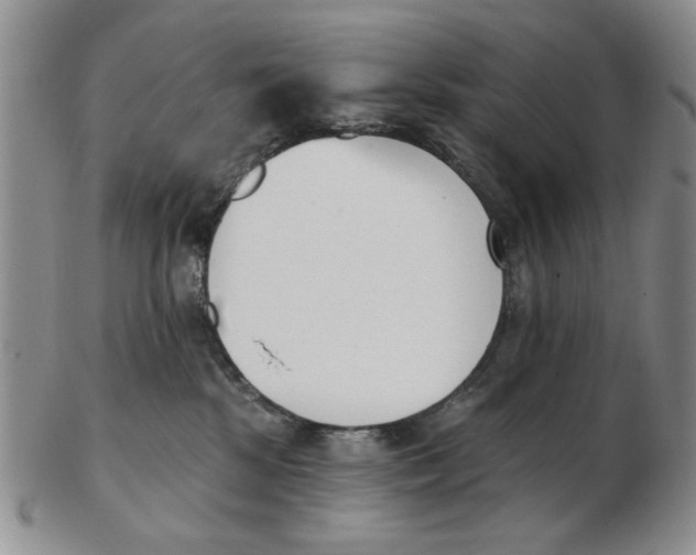 X0000102870281200809081212