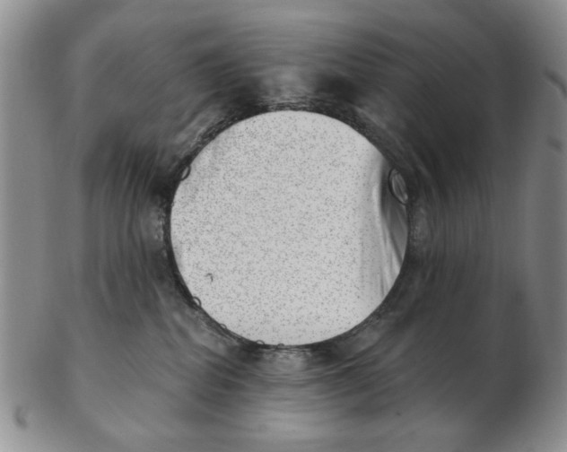 X0000102870282200809081212