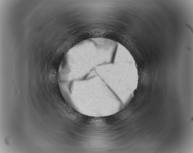 X0000102870283200809081212