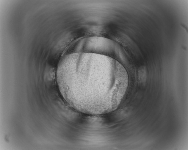 X0000102870284200809081212