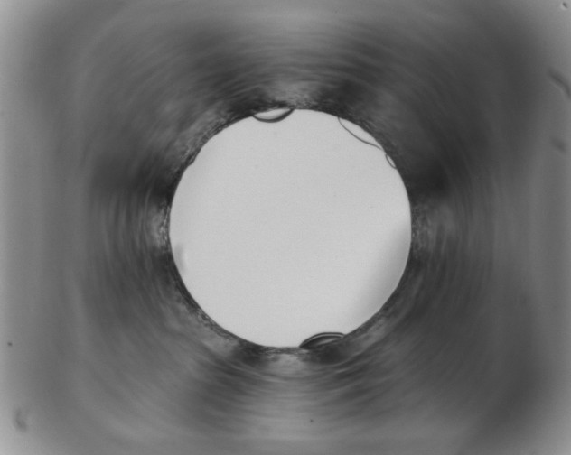 X0000102870285200809081212