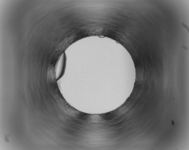 X0000102870287200809081212