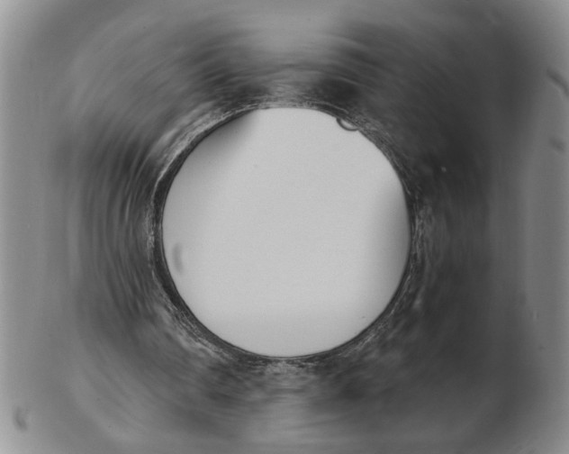 X0000102870290200809081212