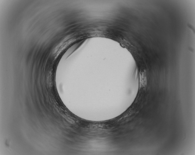 X0000102870291200809081212