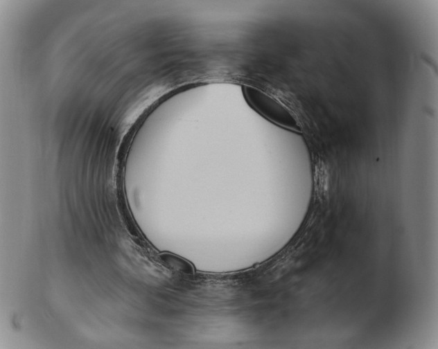 X0000102870292200809081212