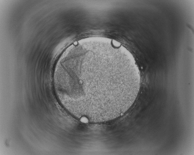 X0000102870293200809081212