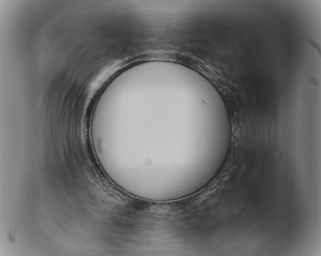 X0000102870294200809081212