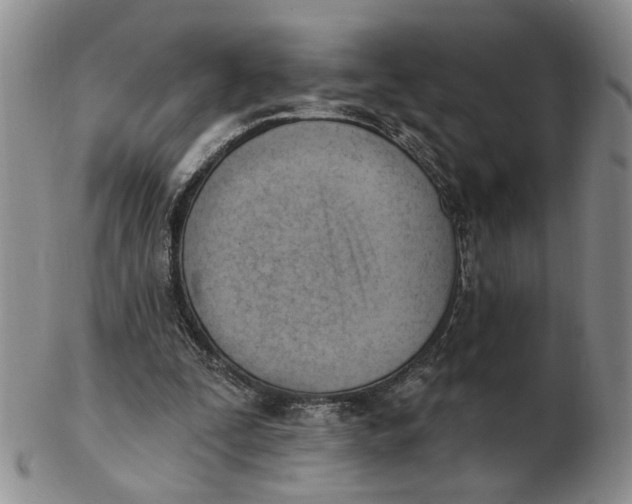 X0000102870295200809081212