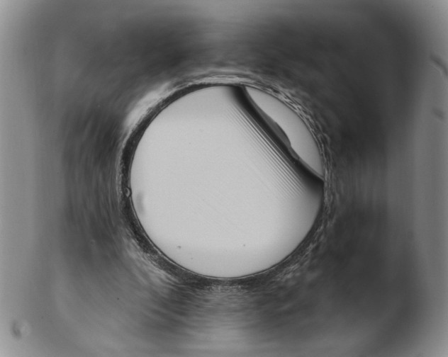 X0000102870296200809081212