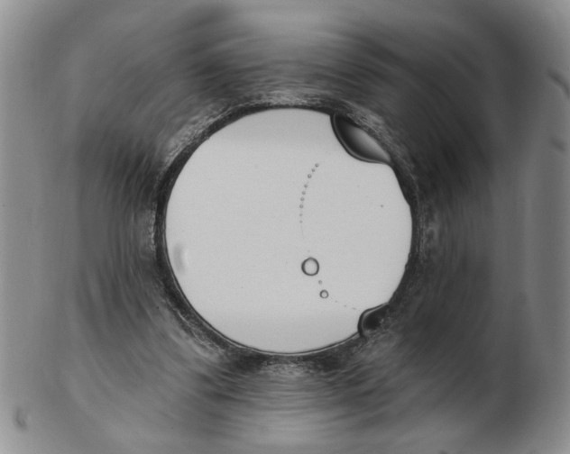 X0000102870299200809081212