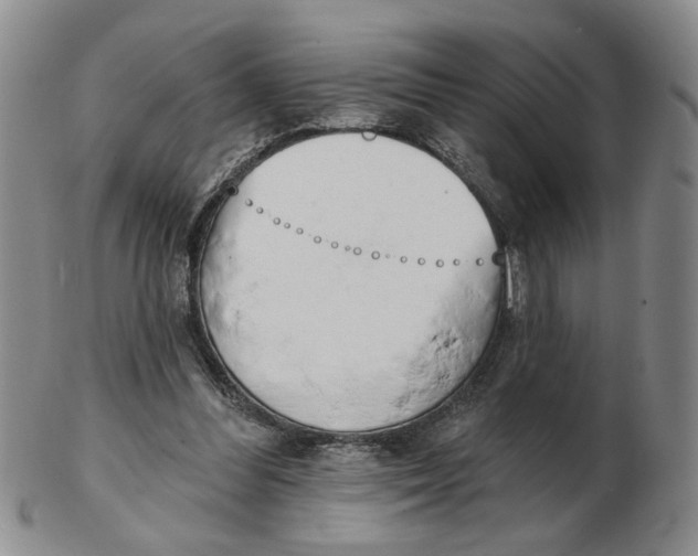 X0000102870300200809081212