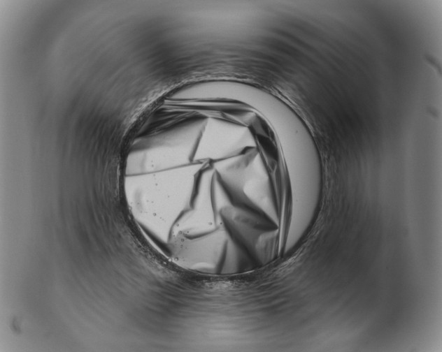 X0000102870301200809081212