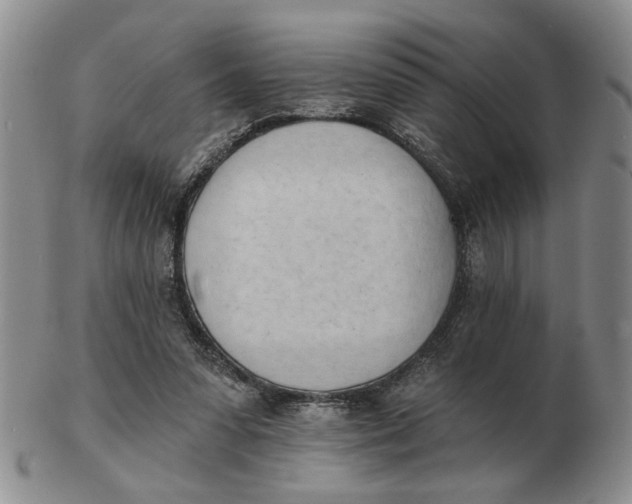 X0000102870303200809081212