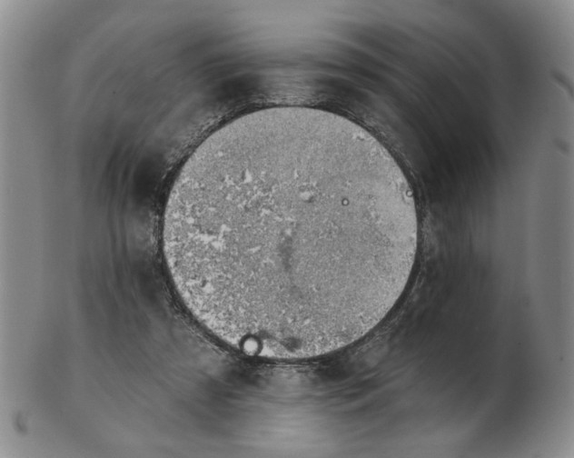 X0000102870305200809081212