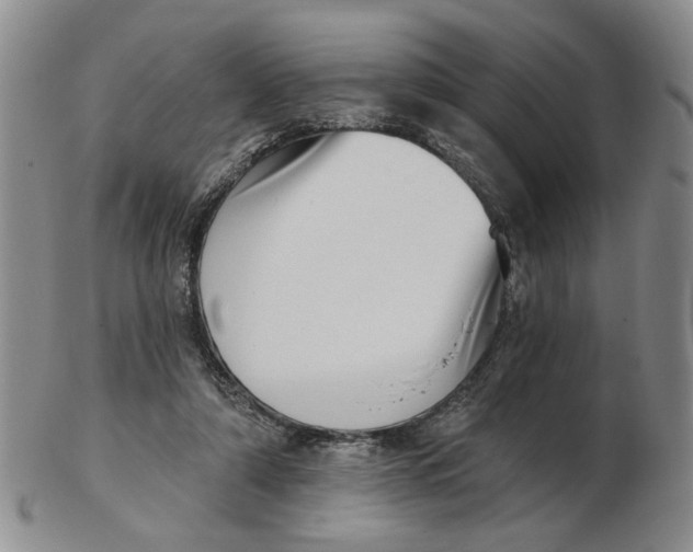 X0000102870306200809081212