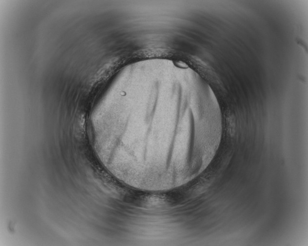 X0000102870308200809081212