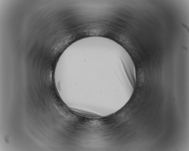 X0000102870310200809081211