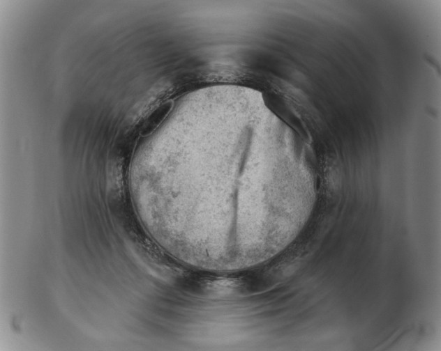 X0000102870312200809081211