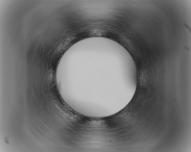 X0000102870314200809081211