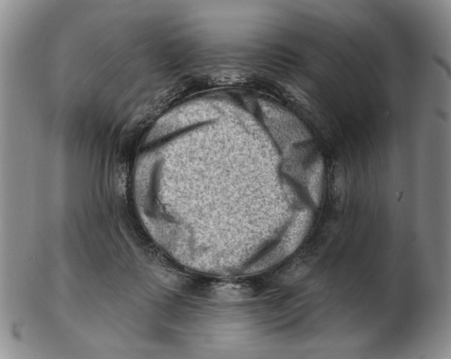 X0000102870315200809081211